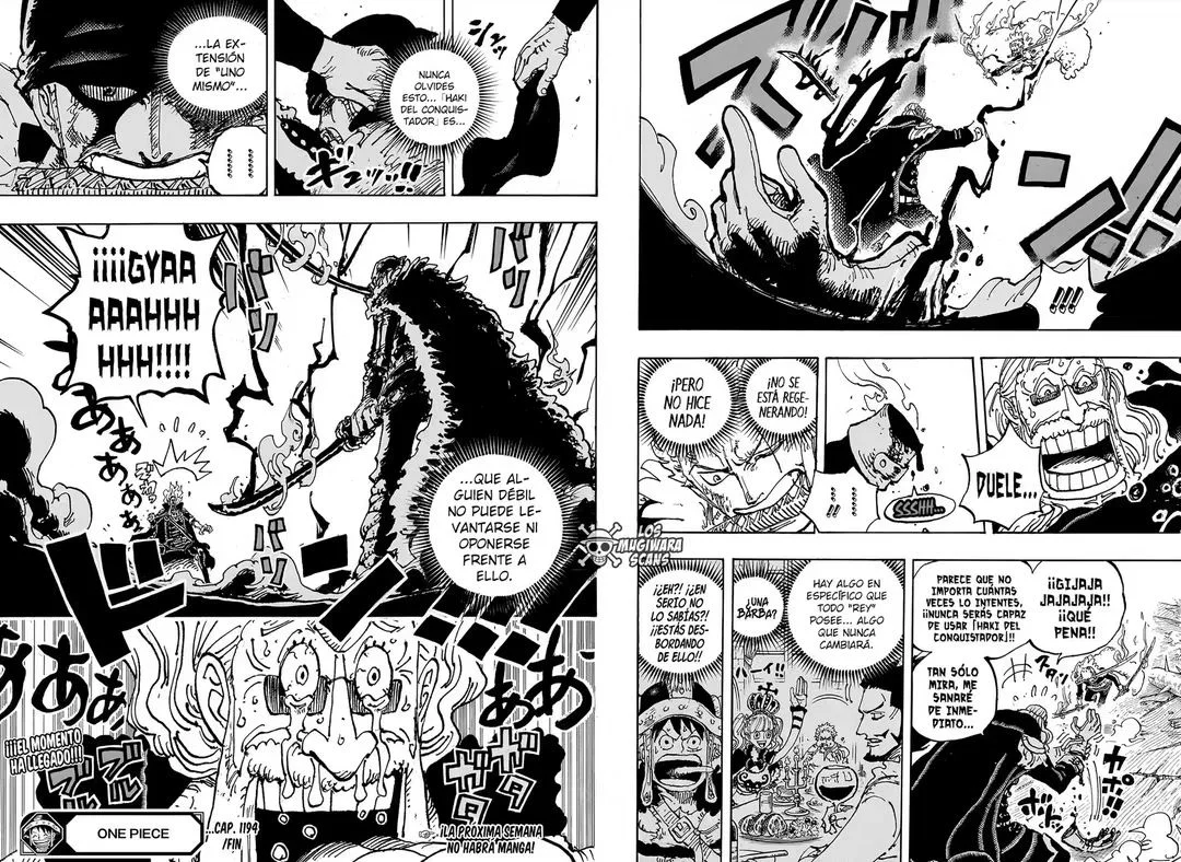 One Piece Capítulo 1194 - página 13