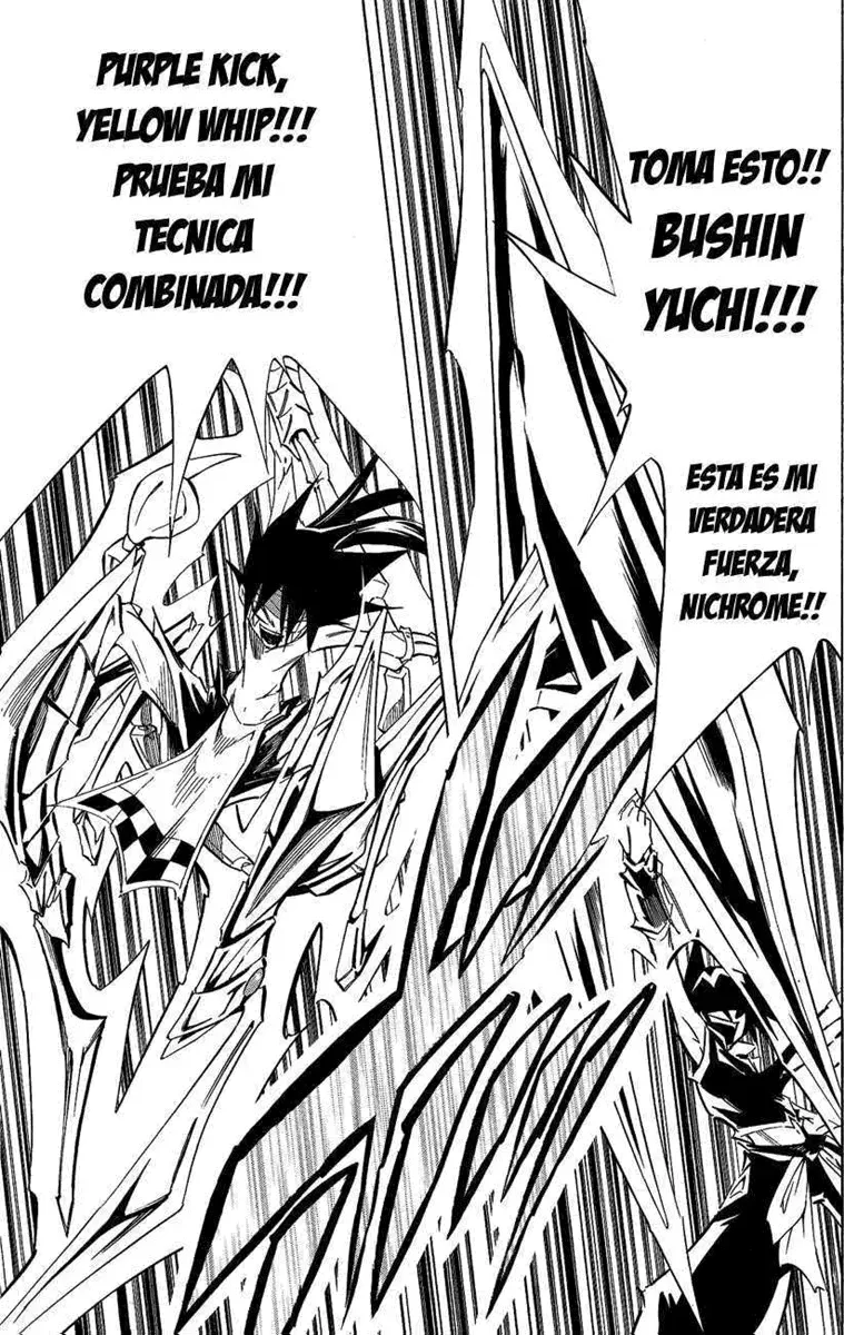 Shaman King (Kanzenban Edition) Capítulo 291 - página 11