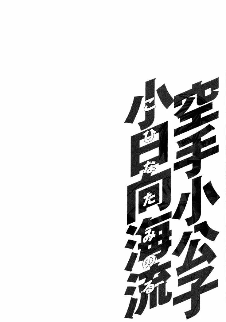 Karate Shoukoushi Kohinata Minoru Capítulo 110 - página 20