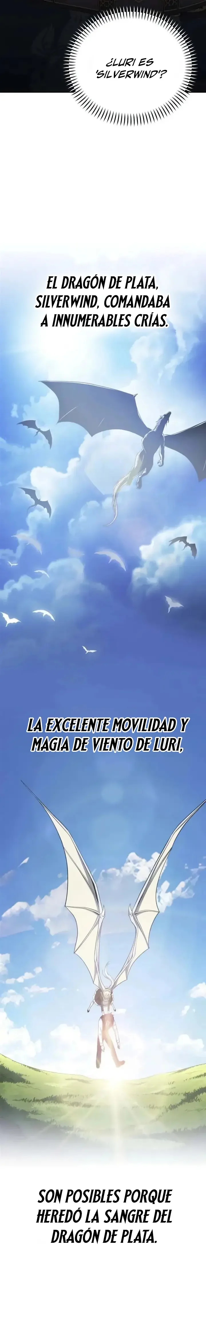 Me Casé con la Dragona que Maté Capítulo 13 - página 11