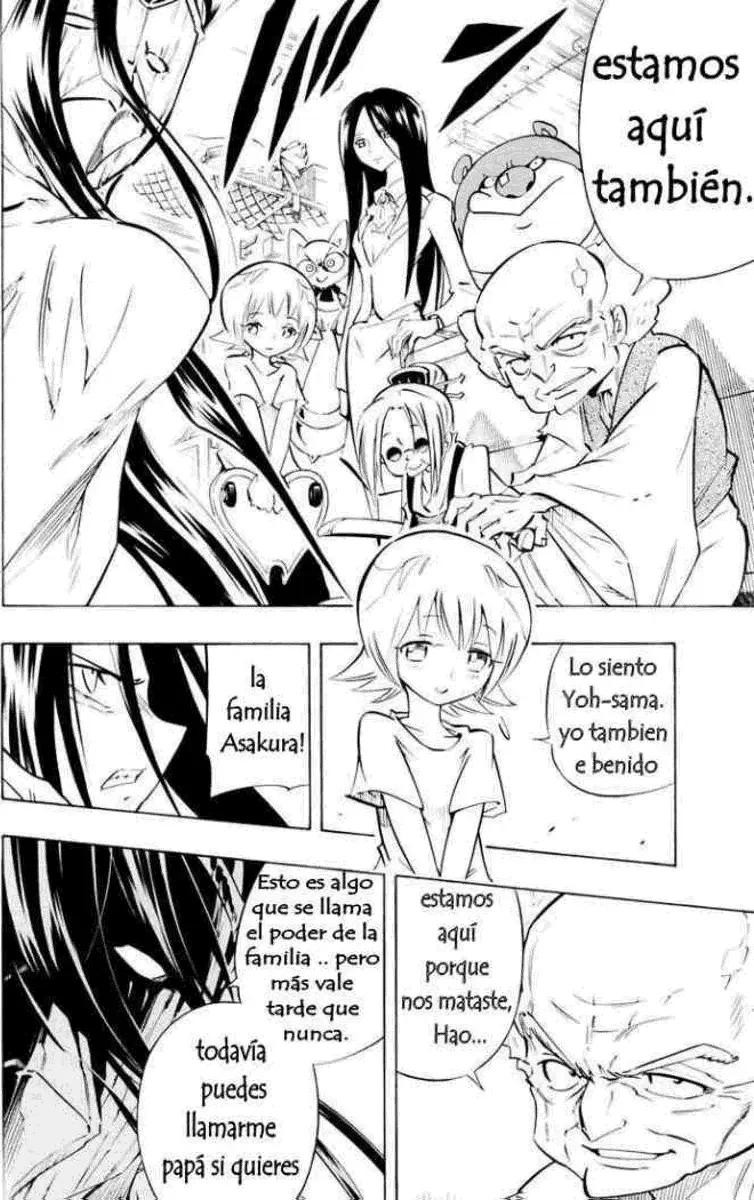 Shaman King (Kanzenban Edition) Capítulo 299 - página 30