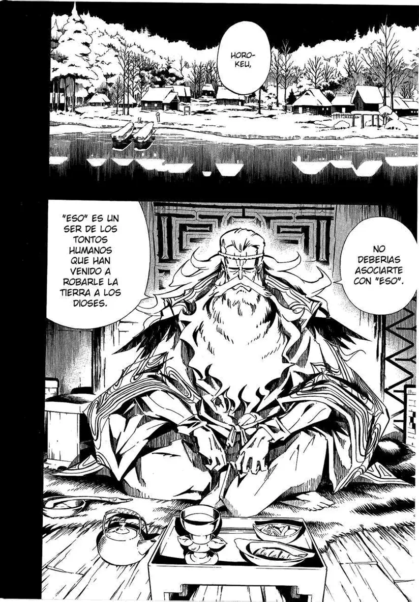 Shaman King (Kanzenban Edition) Capítulo 288 - página 8