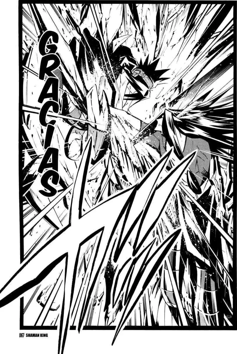 Shaman King (Kanzenban Edition) Capítulo 294 - página 17