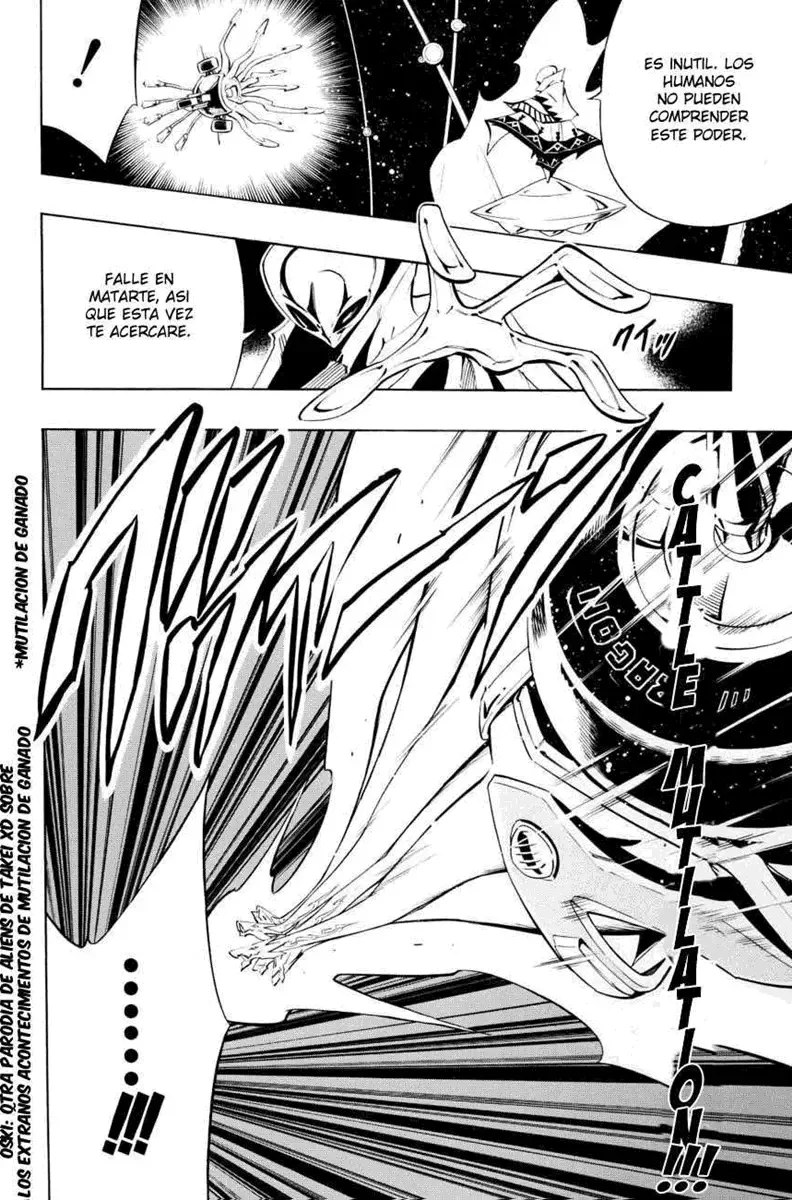 Shaman King (Kanzenban Edition) Capítulo 296 - página 2