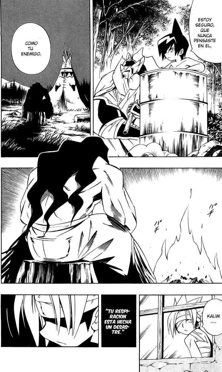 Shaman King (Kanzenban Edition) Capítulo 282 - página 22