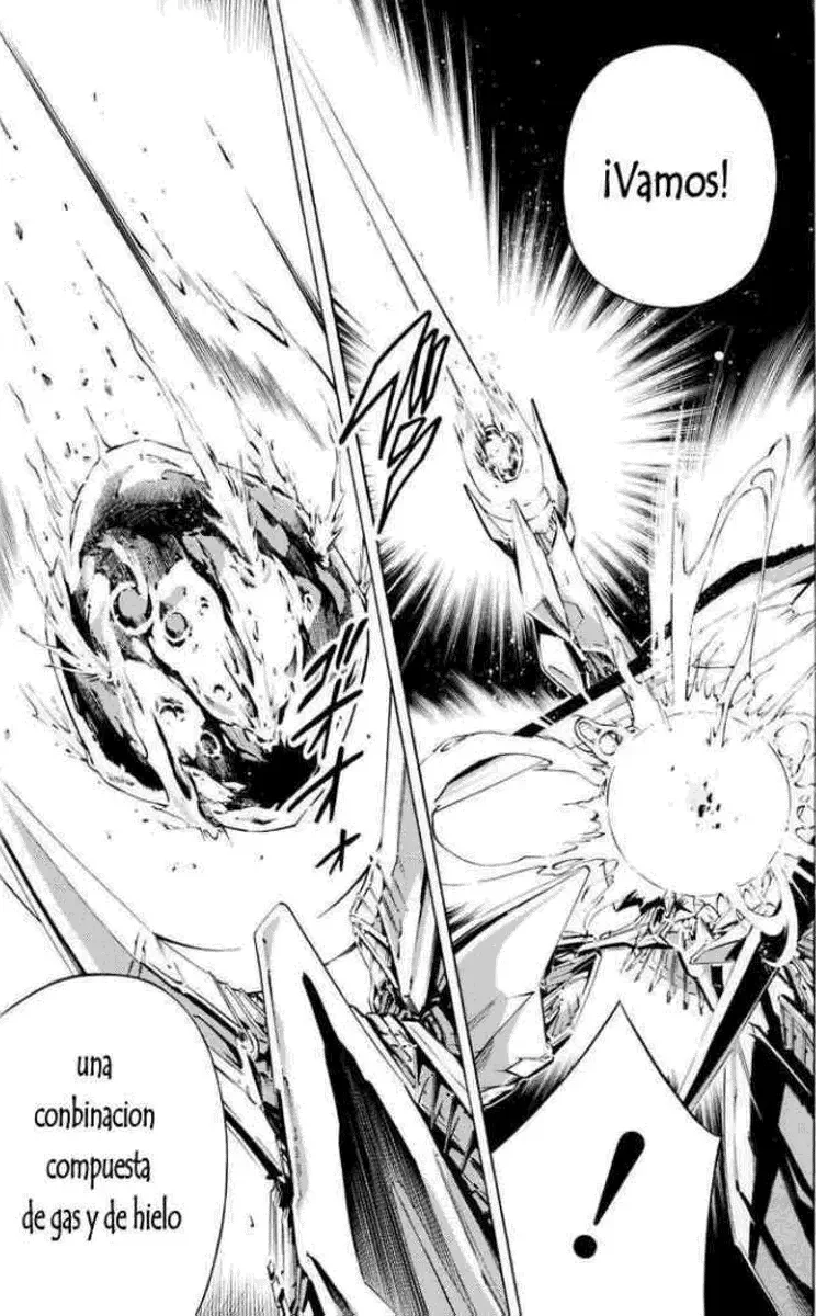 Shaman King (Kanzenban Edition) Capítulo 299 - página 11