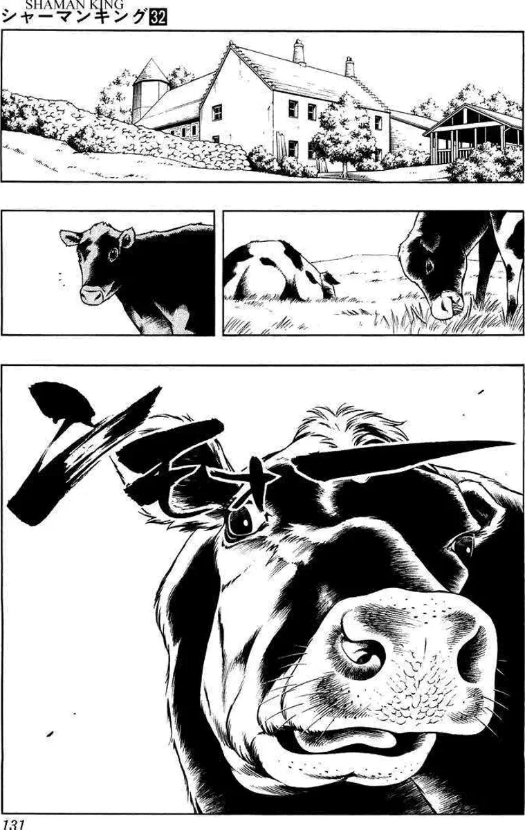 Shaman King (Kanzenban Edition) Capítulo 282 - página 7