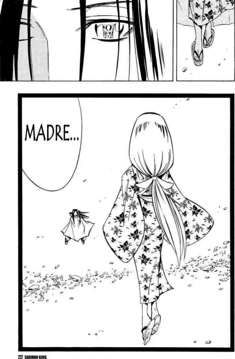 Shaman King (Kanzenban Edition) Capítulo 299 - página 67