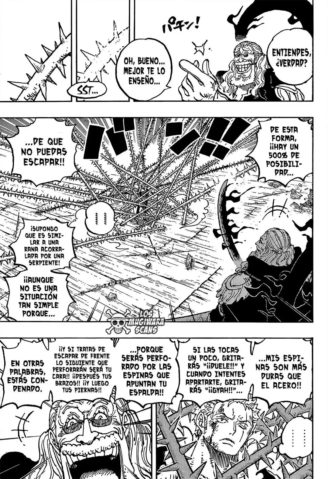 One Piece Capítulo 1193 - página 13