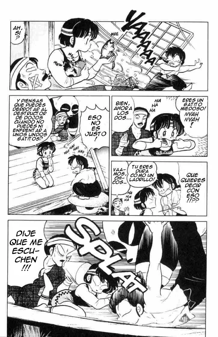 Ranma 1/2 Capítulo 52 - página 5