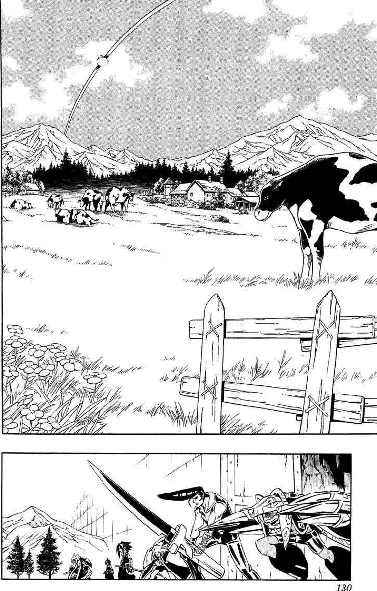 Shaman King (Kanzenban Edition) Capítulo 282 - página 6