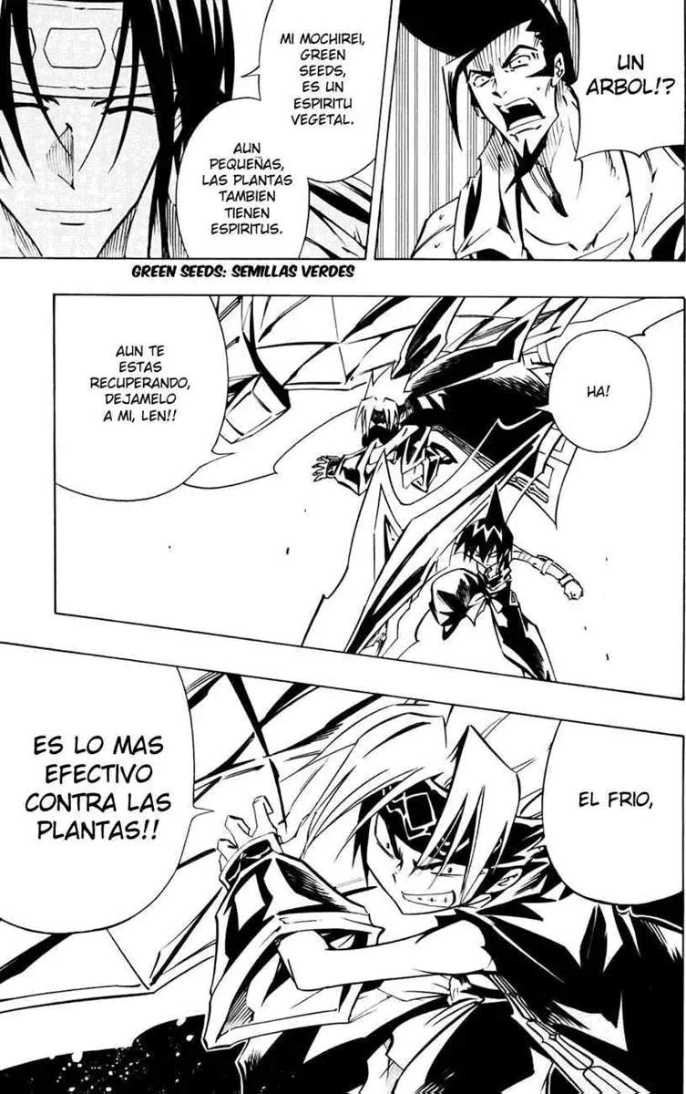 Shaman King (Kanzenban Edition) Capítulo 292 - página 10