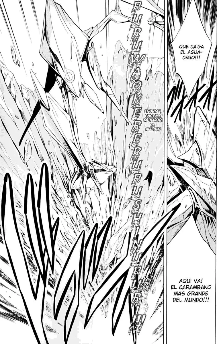 Shaman King (Kanzenban Edition) Capítulo 298 - página 19