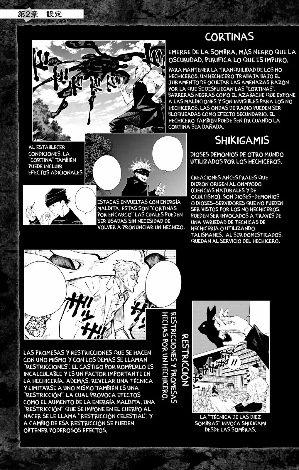 Jujutsu Kaisen: FANBOOK OFICIAL Capítulo 2 - página 22