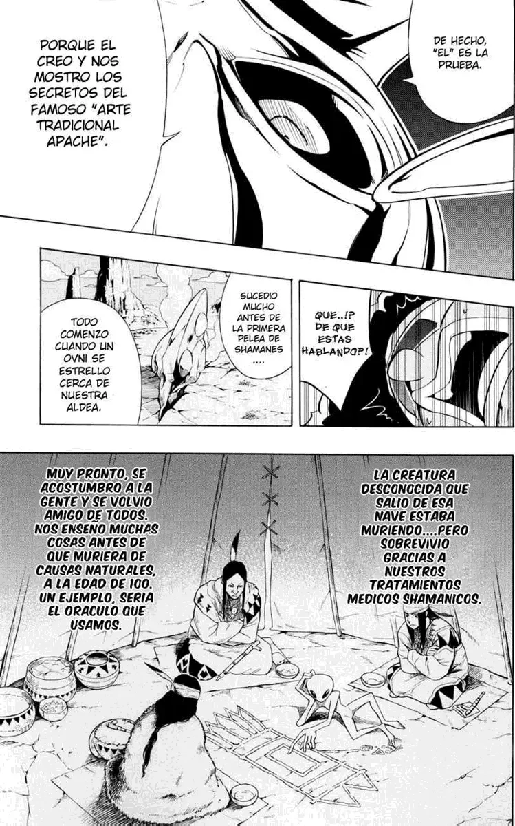 Shaman King (Kanzenban Edition) Capítulo 296 - página 7