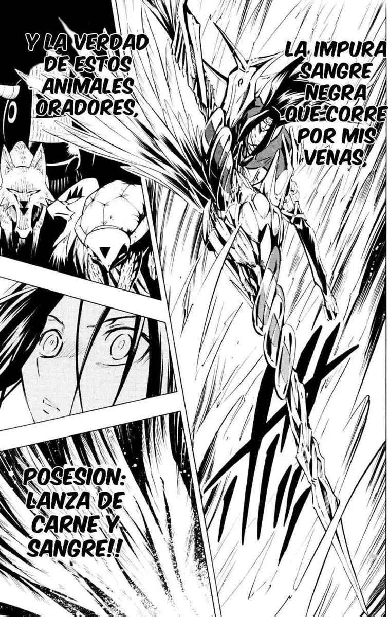 Shaman King (Kanzenban Edition) Capítulo 294 - página 13