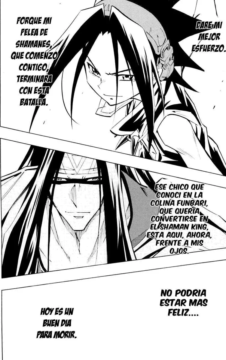 Shaman King (Kanzenban Edition) Capítulo 294 - página 8