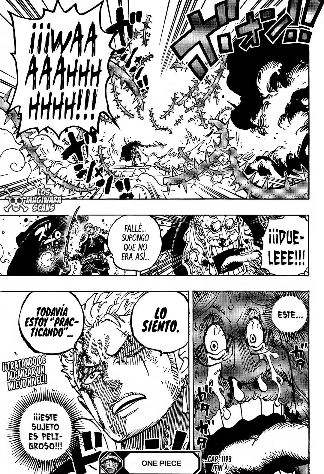 One Piece Capítulo 1193 - página 17