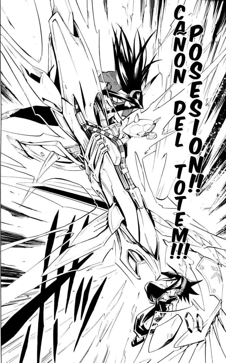 Shaman King (Kanzenban Edition) Capítulo 294 - página 10