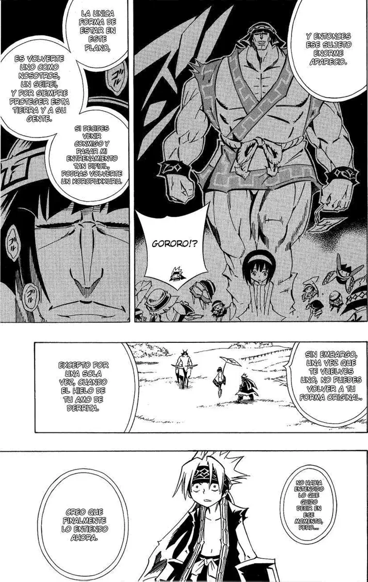 Shaman King (Kanzenban Edition) Capítulo 288 - página 21