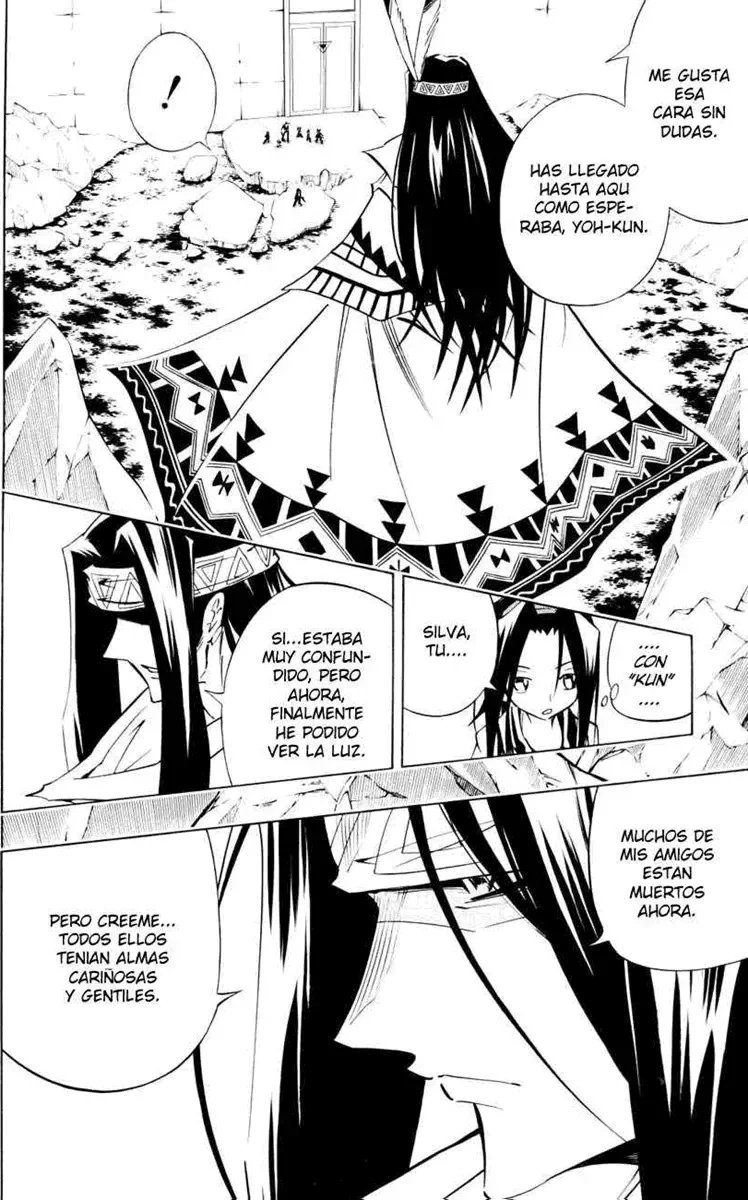 Shaman King (Kanzenban Edition) Capítulo 294 - página 4