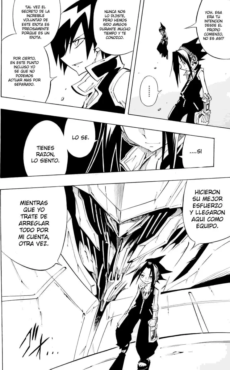 Shaman King (Kanzenban Edition) Capítulo 298 - página 28