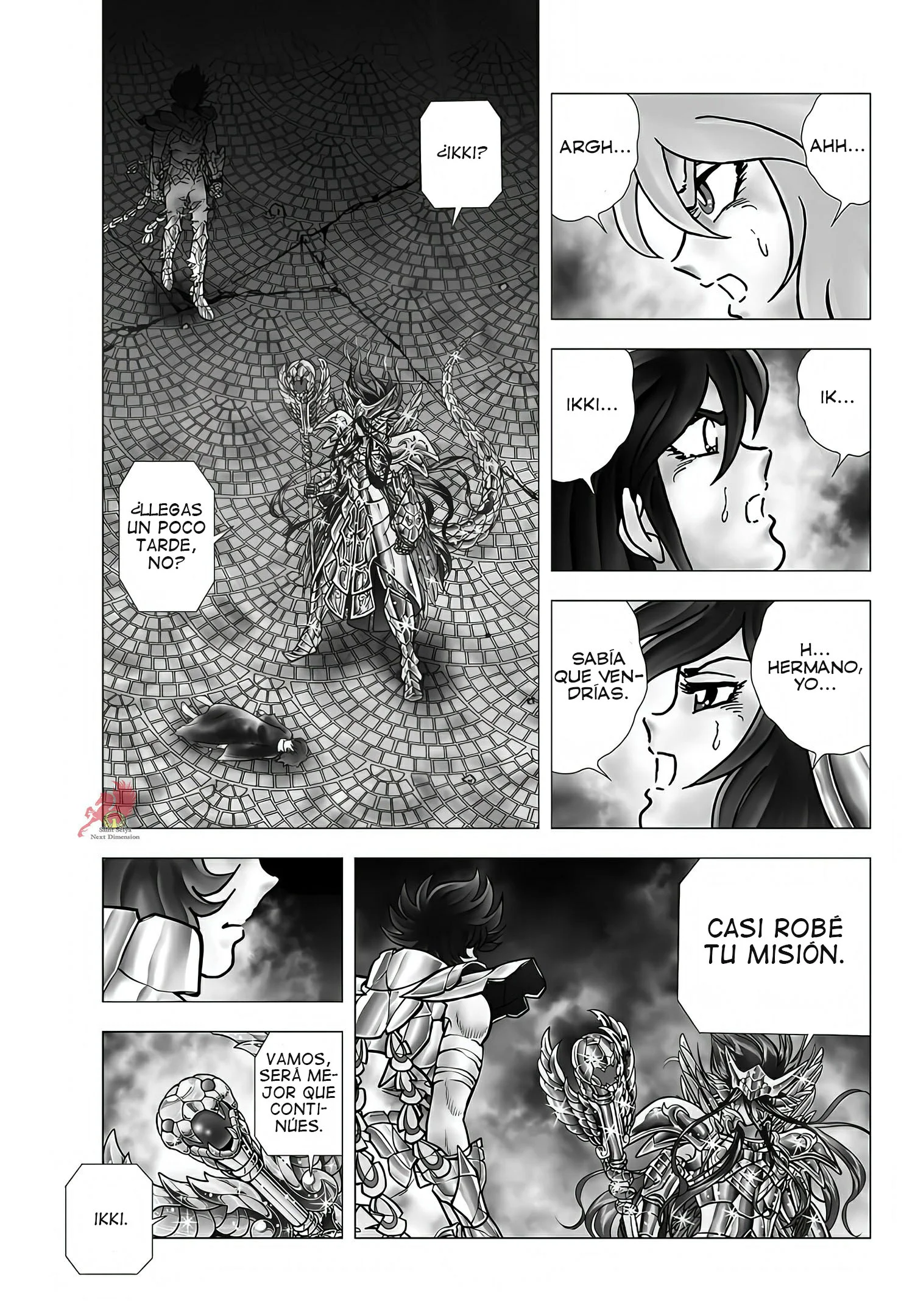 Saint Seiya: Next Dimension Capítulo 108 - página 17