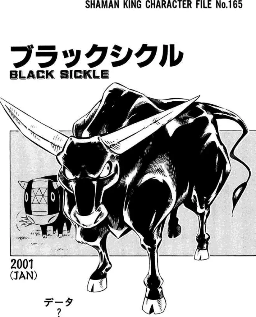 Shaman King (Kanzenban Edition) Capítulo 284 - página 19