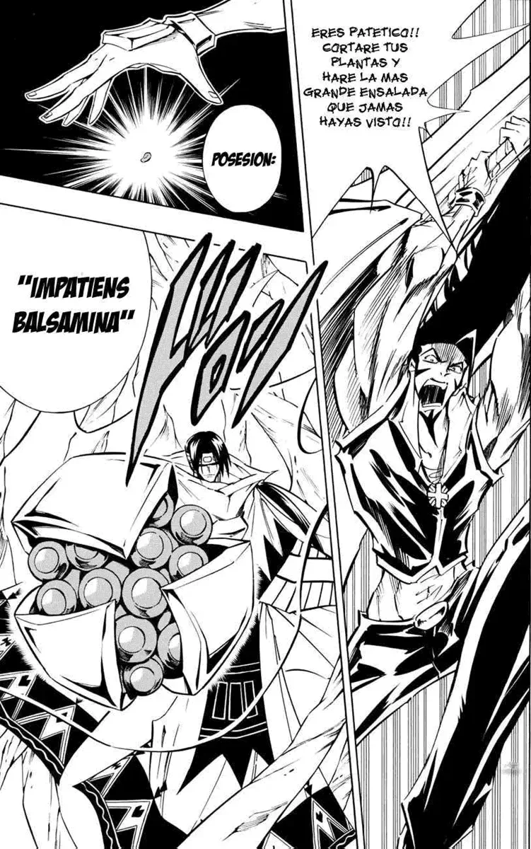 Shaman King (Kanzenban Edition) Capítulo 292 - página 14