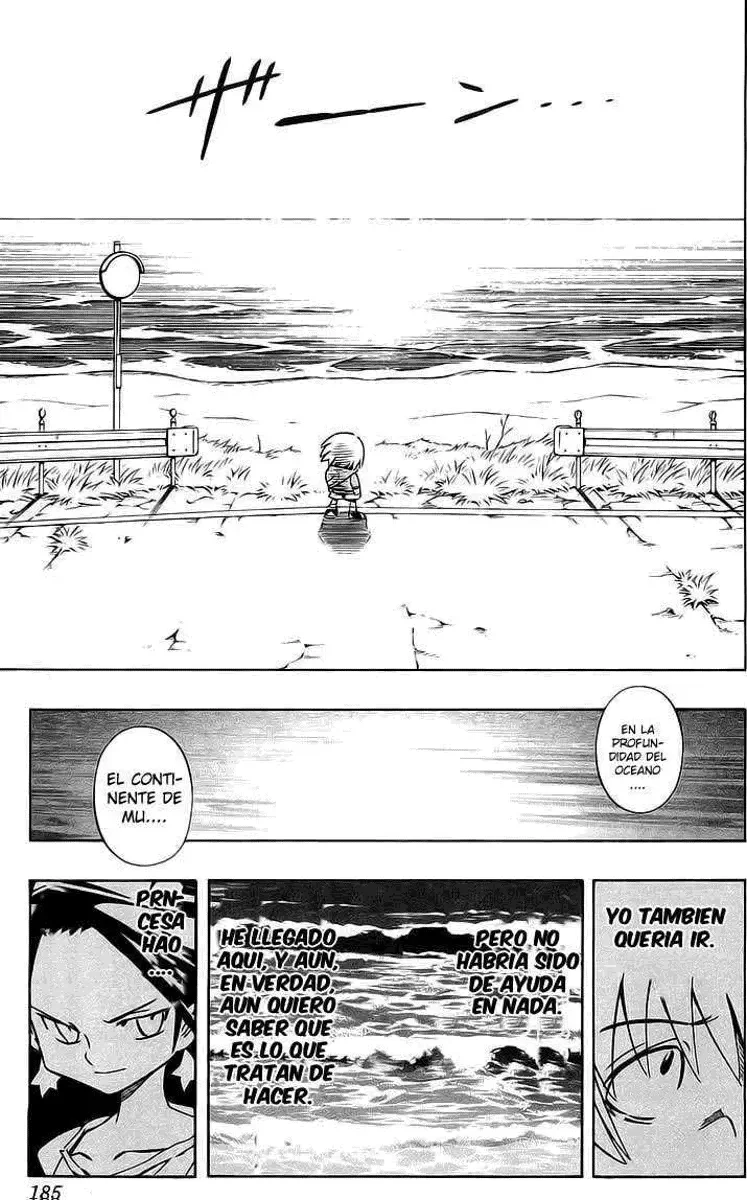 Shaman King (Kanzenban Edition) Capítulo 285 - página 4