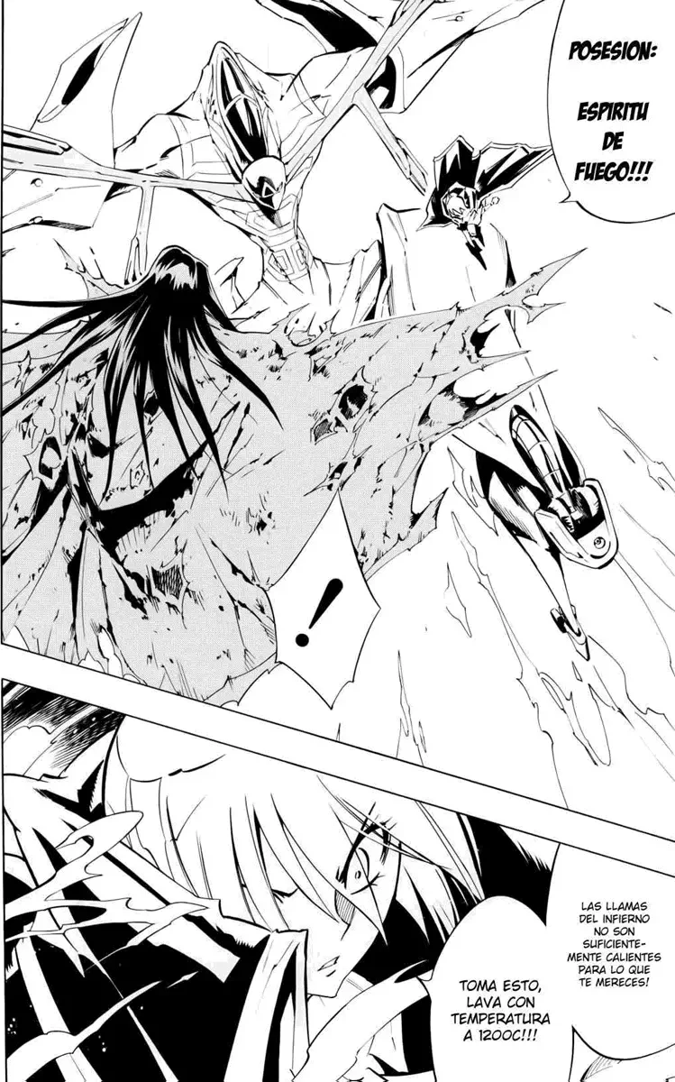 Shaman King (Kanzenban Edition) Capítulo 298 - página 22