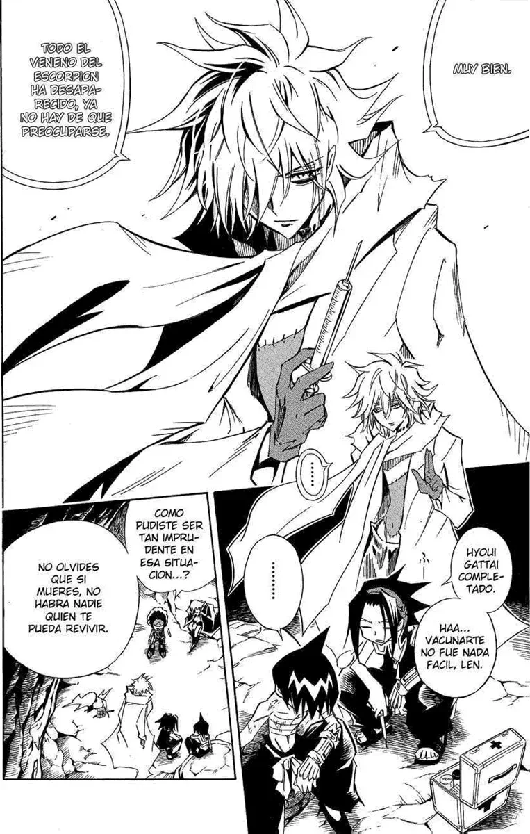 Shaman King (Kanzenban Edition) Capítulo 291 - página 14