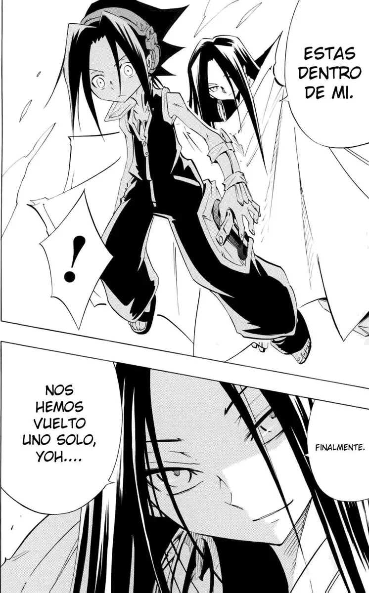 Shaman King (Kanzenban Edition) Capítulo 298 - página 2