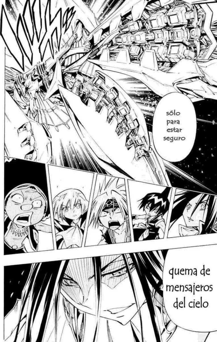 Shaman King (Kanzenban Edition) Capítulo 299 - página 13