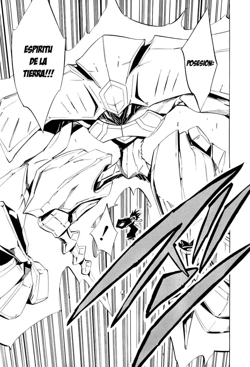 Shaman King (Kanzenban Edition) Capítulo 298 - página 25