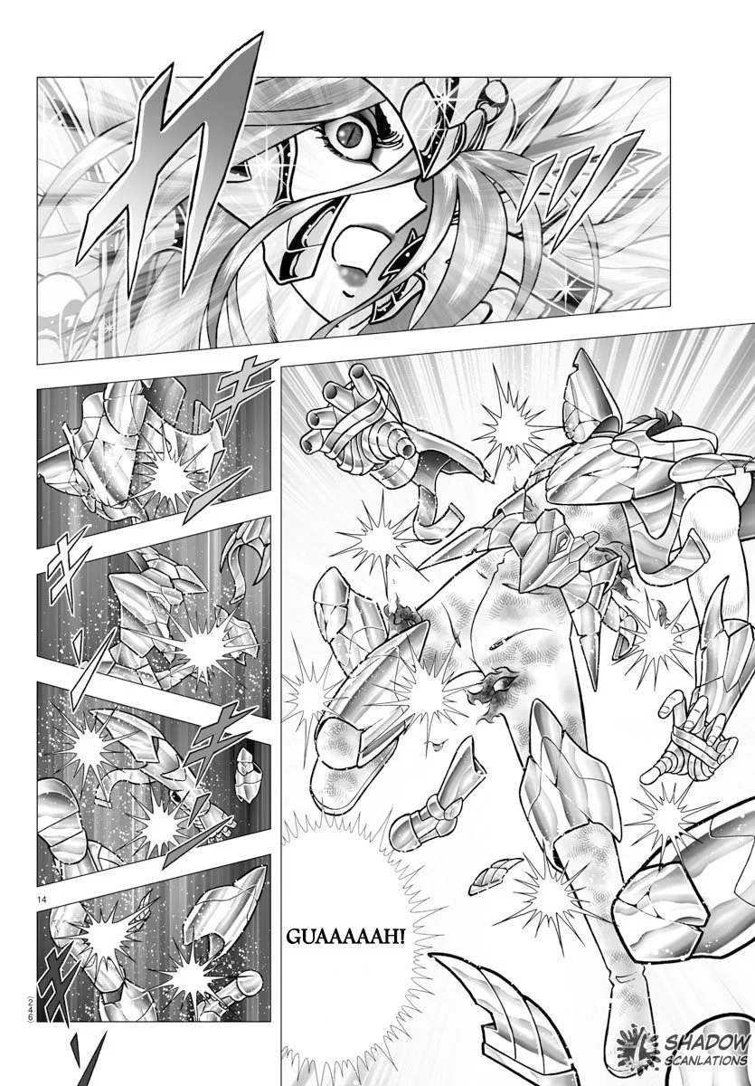 Saint Seiya: Next Dimension Capítulo 101 - página 14