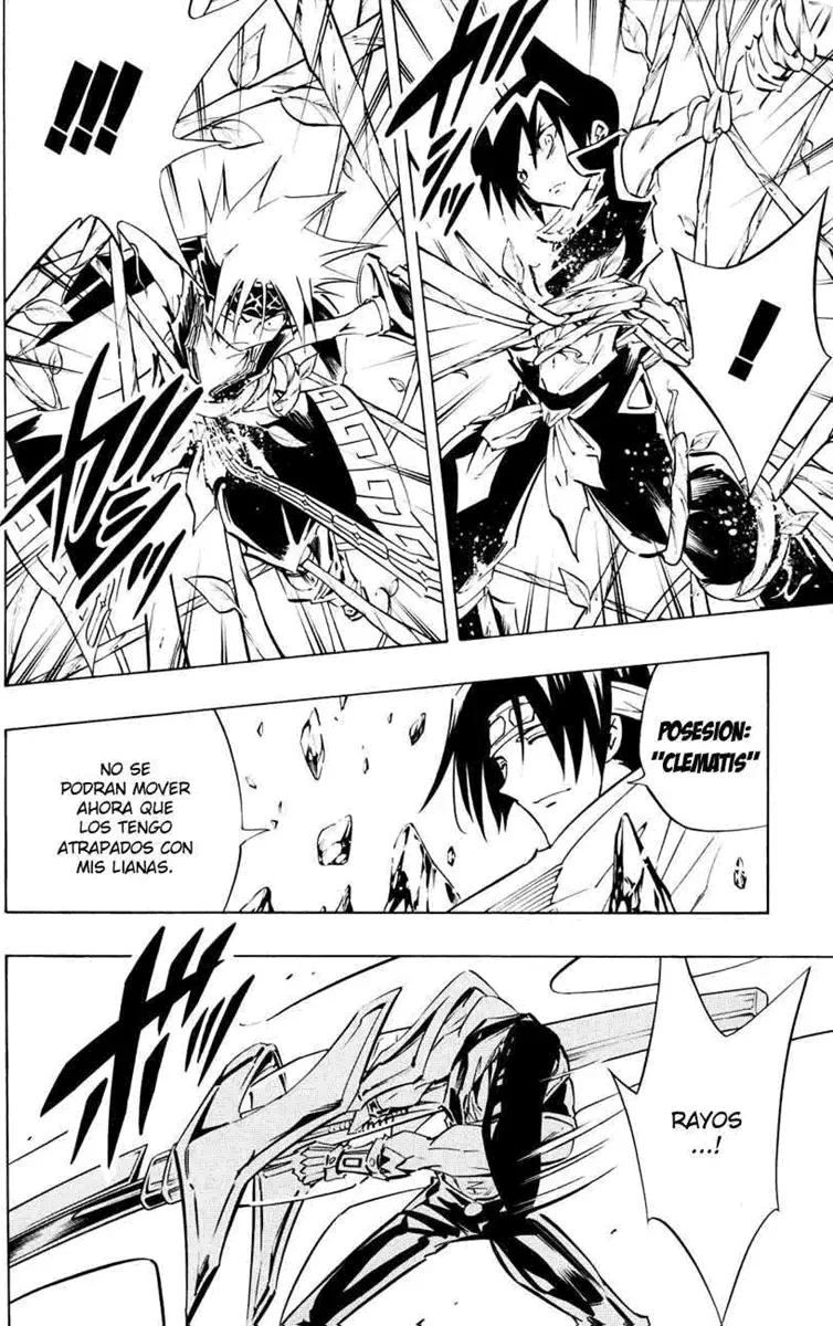 Shaman King (Kanzenban Edition) Capítulo 292 - página 13