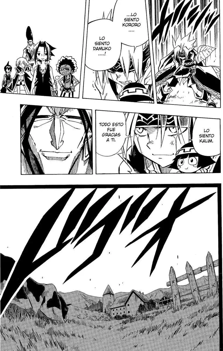 Shaman King (Kanzenban Edition) Capítulo 288 - página 23