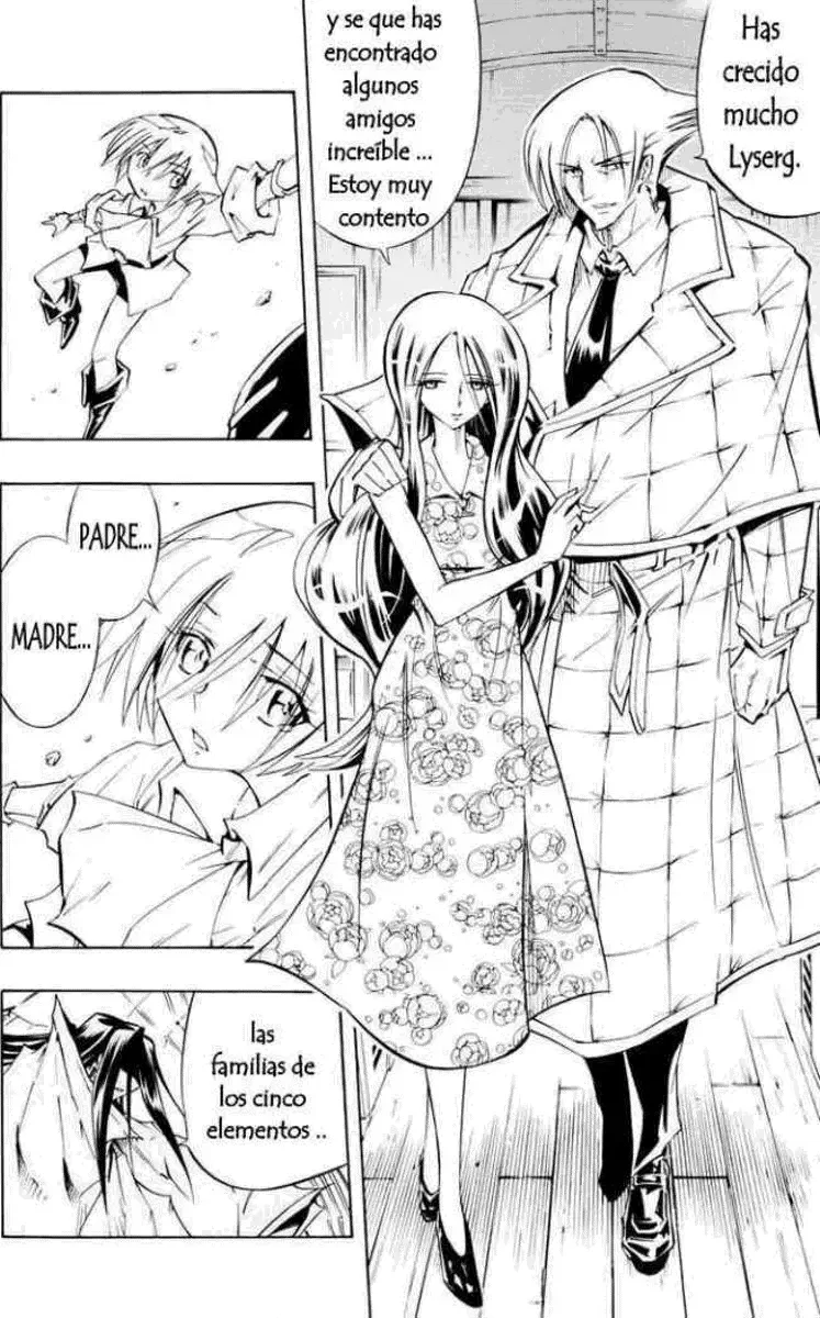 Shaman King (Kanzenban Edition) Capítulo 299 - página 34