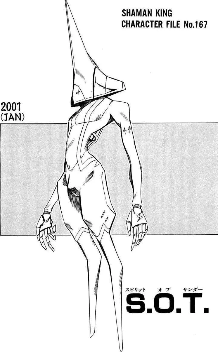 Shaman King (Kanzenban Edition) Capítulo 285 - página 10