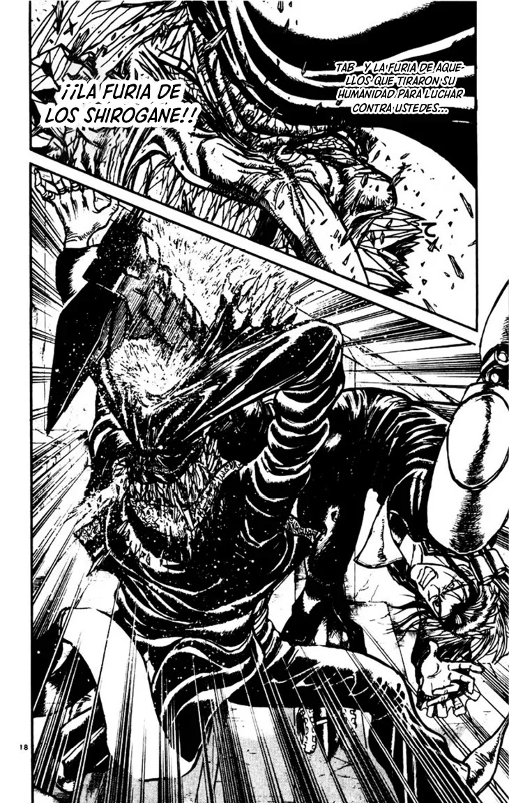 Karakuri Circus Capítulo 203 - página 17