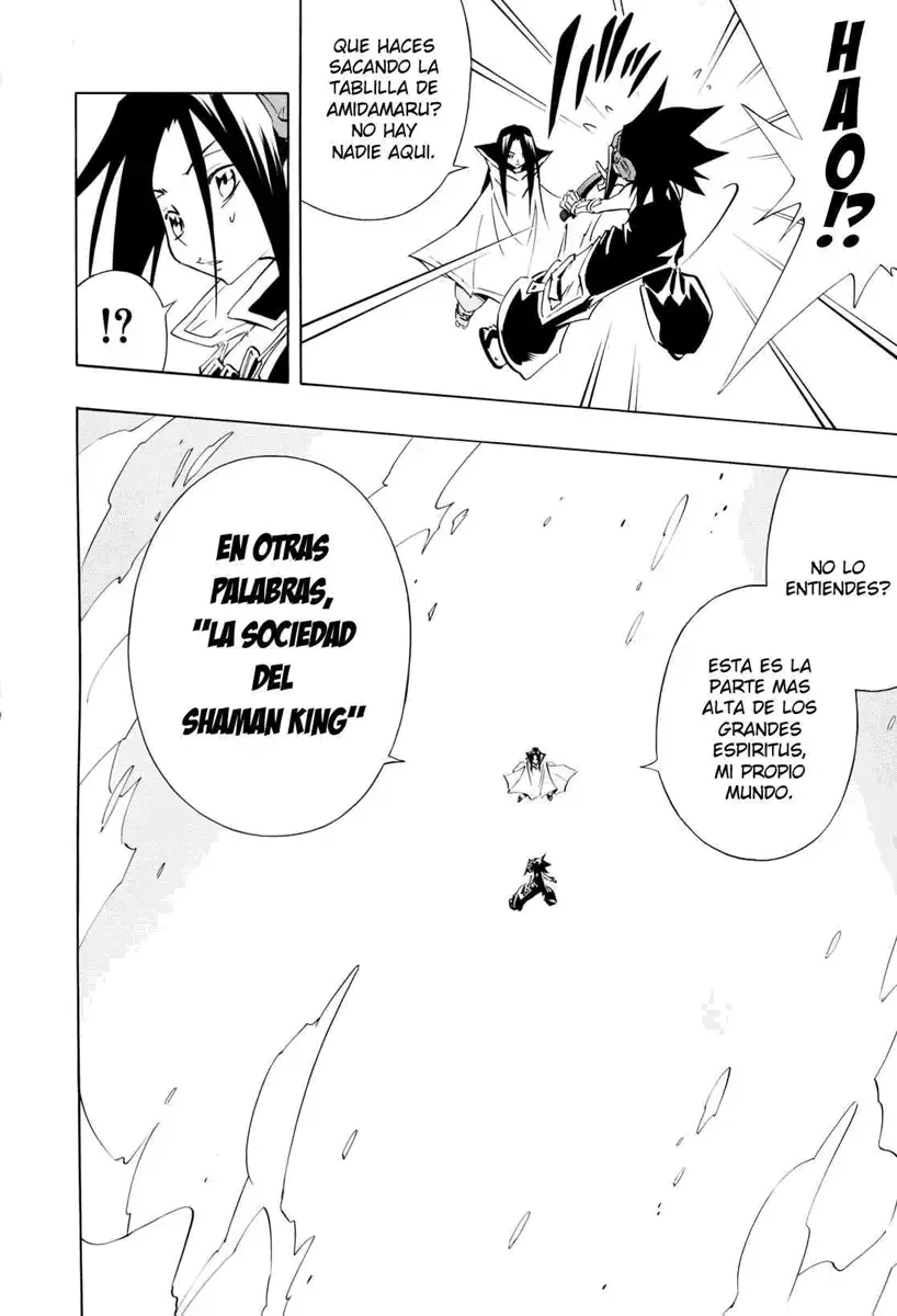 Shaman King (Kanzenban Edition) Capítulo 298 - página 4