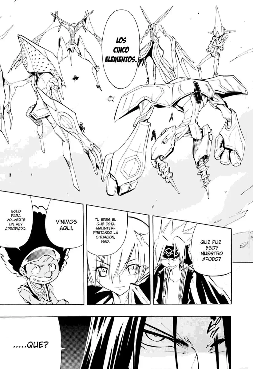 Shaman King (Kanzenban Edition) Capítulo 298 - página 27