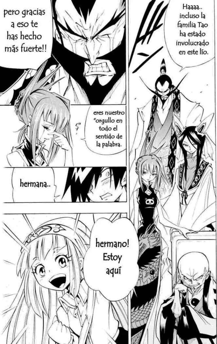 Shaman King (Kanzenban Edition) Capítulo 299 - página 31