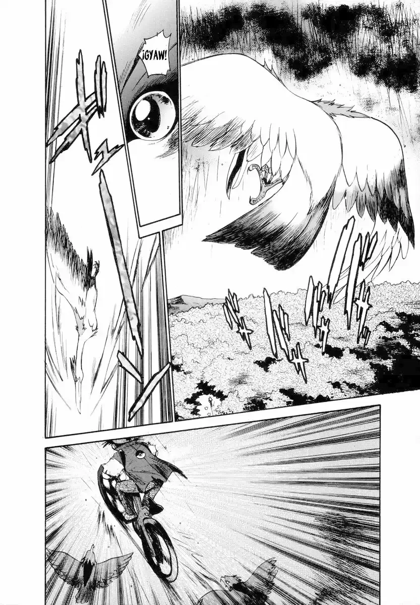 Pokemon Dengeki Pikachu Capítulo 1 - página 42