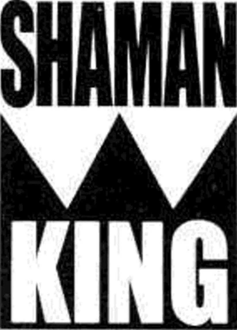 Shaman King (Kanzenban Edition) Capítulo 292 - página 18