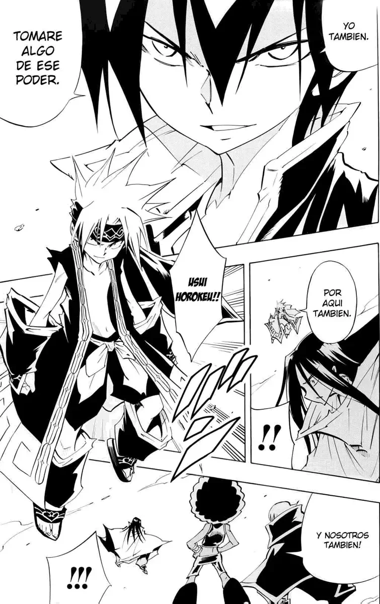 Shaman King (Kanzenban Edition) Capítulo 298 - página 13