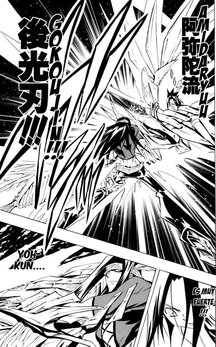 Shaman King (Kanzenban Edition) Capítulo 294 - página 15