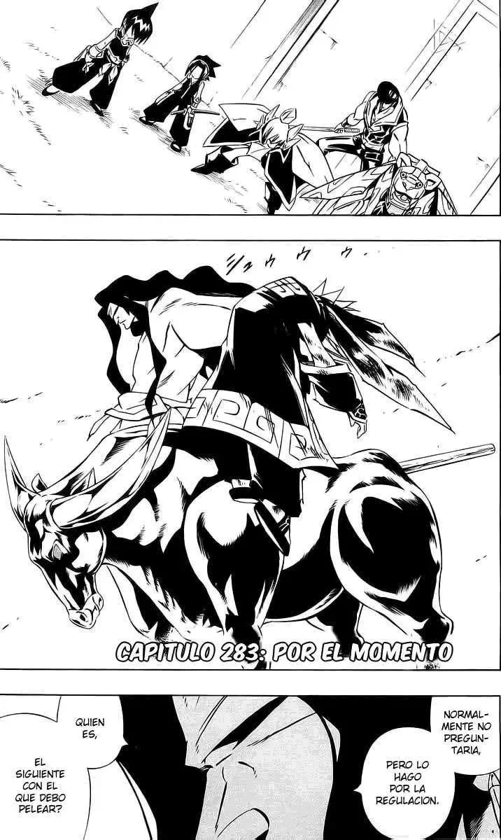 Shaman King (Kanzenban Edition) Capítulo 282 - página 15