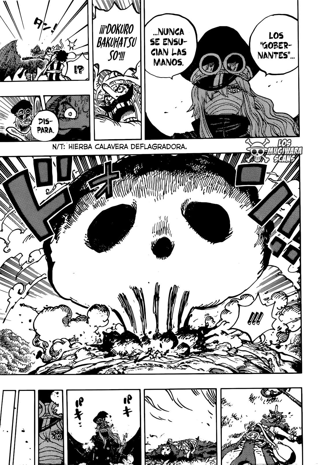 One Piece Capítulo 1177 - página 17
